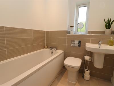Picture 17